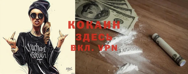 a pvp Новозыбков