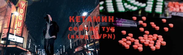 индика Новодвинск