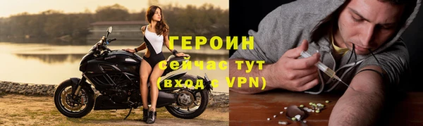 индика Новодвинск