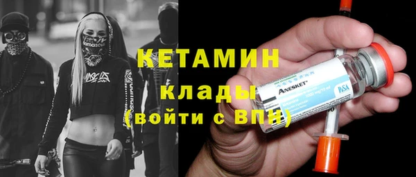 индика Новодвинск