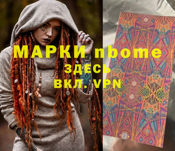 индика Новодвинск