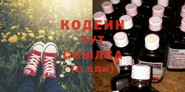 индика Новодвинск