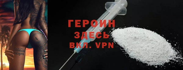 индика Новодвинск