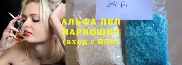 индика Новодвинск