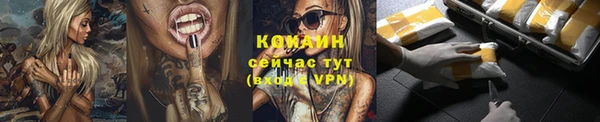 a pvp Новозыбков