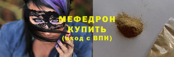 индика Новодвинск