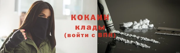 a pvp Новозыбков