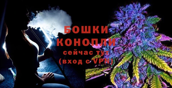 индика Новодвинск