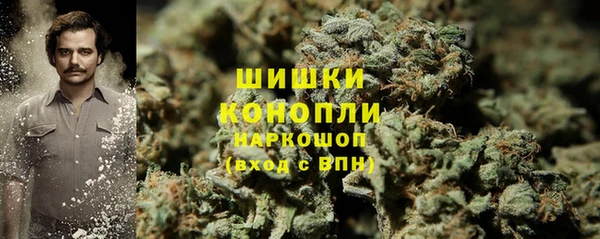 индика Новодвинск