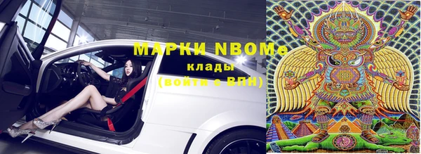 a pvp Новозыбков