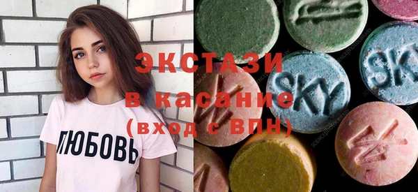индика Новодвинск
