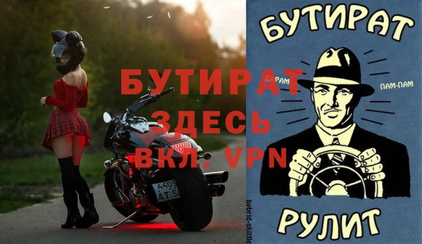 индика Новодвинск