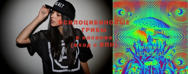 a pvp Новозыбков