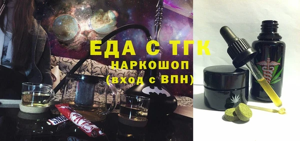 индика Новодвинск
