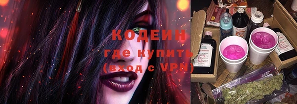 a pvp Новозыбков