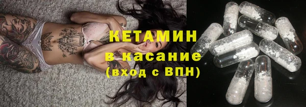 индика Новодвинск