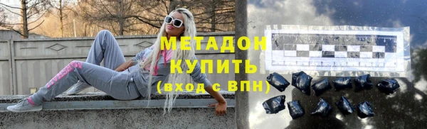 индика Новодвинск