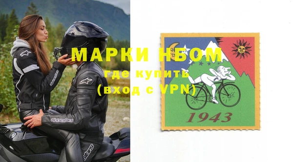 a pvp Новозыбков