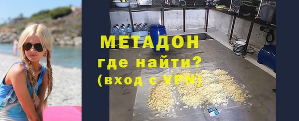 индика Новодвинск