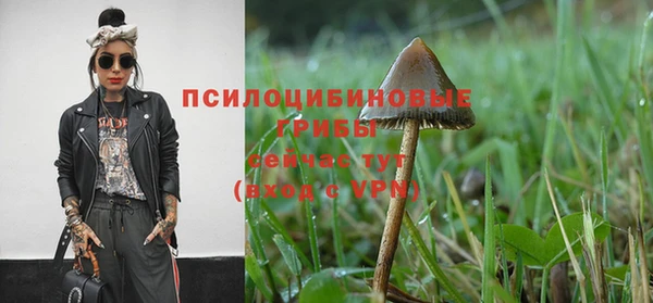 первитин Новокубанск
