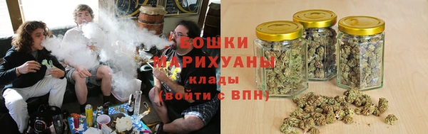 a pvp Новозыбков