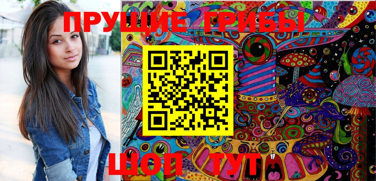 Псилоцибиновые грибы Cubensis  Вход с VPN  Биробиджан 