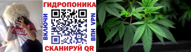 Канабис гибрид  Биробиджан 